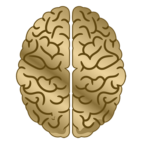 brain icon