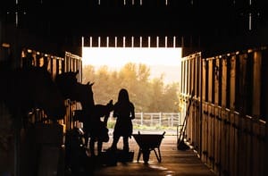 girls in barn with horses