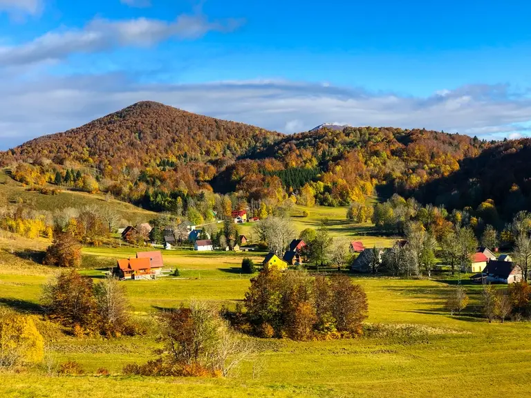 Autumn trees lining a street in a Shenandoah Valley town