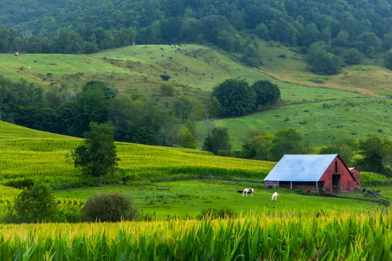 Sunrise over a farm field in rural Virginia