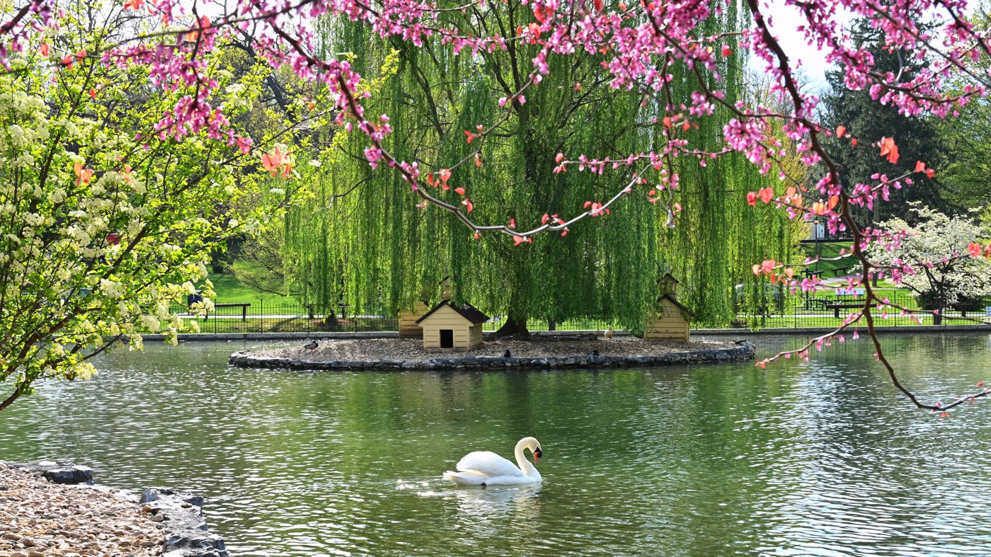 A calm moment while taking inventory of a Virginia estate