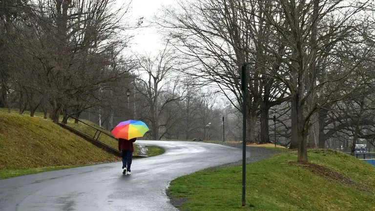 A quiet walk after a loss, the first days after a death in Virginia