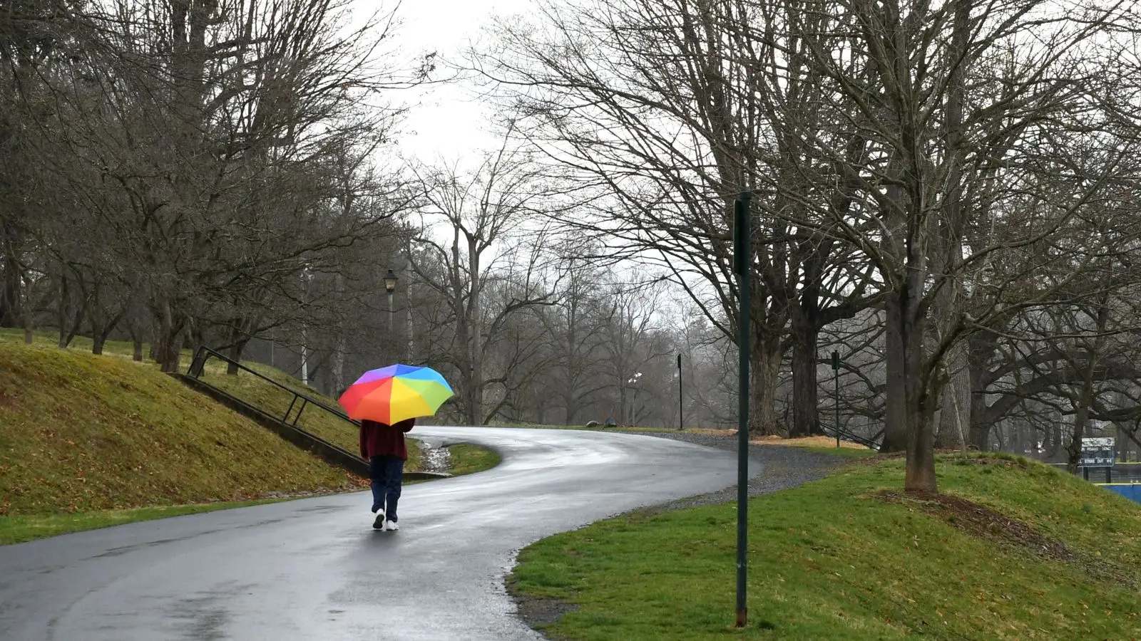 A quiet walk after a loss, the first days after a death in Virginia